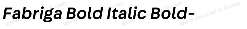 Fabriga Bold Italic Bold字体转换